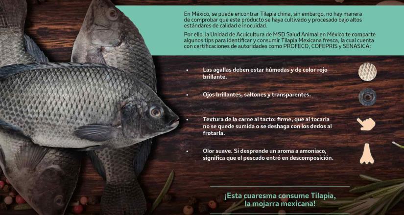 La Tilapia mexicana, una excelente opción para disfrutar en cuaresma