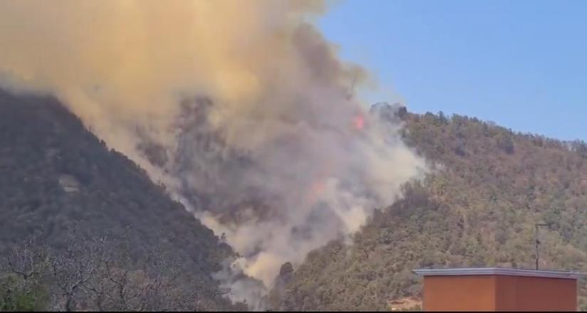 Incendio en Huixquilucan consume 6 hectáreas de bosque y pastizales
