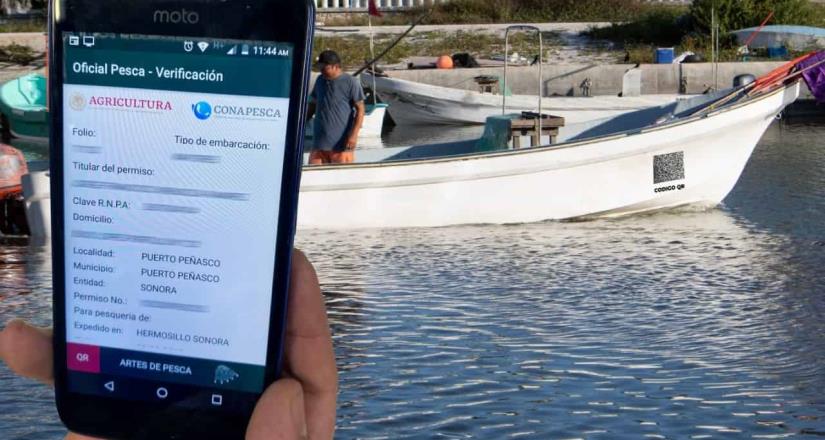 Entra en operación el formato digital para el permiso de pesca comercial en embarcaciones