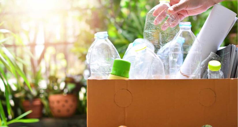 ¿Quieres un hogar sustentable? Implementa estas técnicas de reciclaje