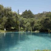 Agua Sta.María: comprometida por naturaleza con el cuidado del manantial desde hace 30 años.