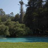 Agua Sta.María: comprometida por naturaleza con el cuidado del manantial desde hace 30 años.