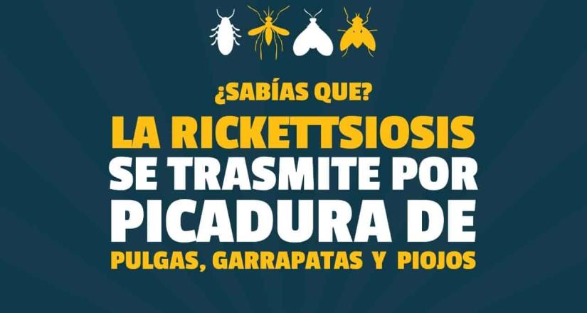 Gobierno de Ensenada jornada de recolectará basura para coadyuvar a mitigar la rickettsiosis