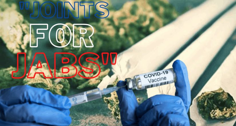 Washington ofrece marihuana gratis si te vacunas contra el Covid-19