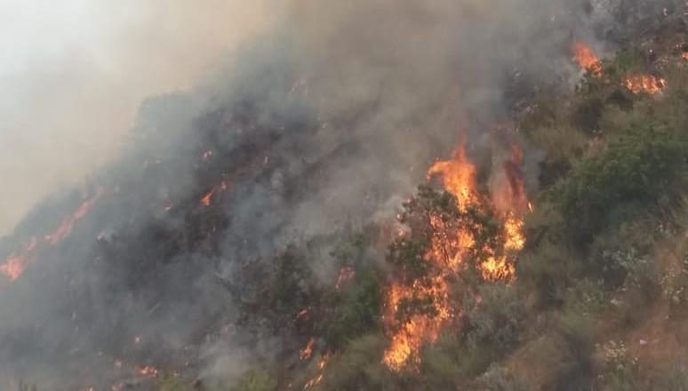 Ante incremento en las temperaturas, exhorta Protección Civil a prevenir incendios forestales