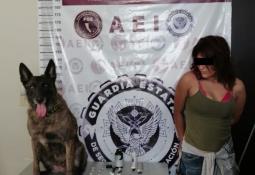 Aseguró la GESO 10 mil pastillas de fentanilo en Tijuana