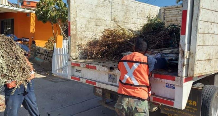 Retira Servicios Públicos más de 3 toneladas de basura de traspatio en jornada para la prevención de la rickettsiosis