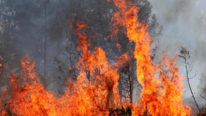 Envía México combatientes para apoyar en Canadá en incendios
