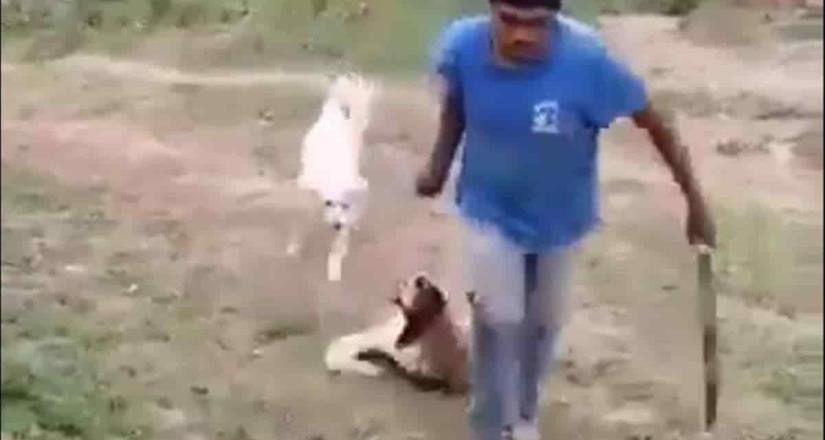 Hombre mata a machetazos a una perrita en calles de Iztapalapa