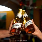 HEINEKEN México expande portafolio de cervezas lager y lanza Bohemia Cristal