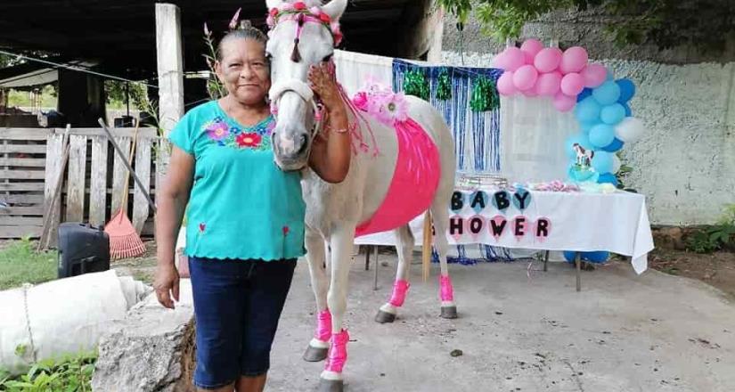 Hacen baby shower a una yegua en Yucatán