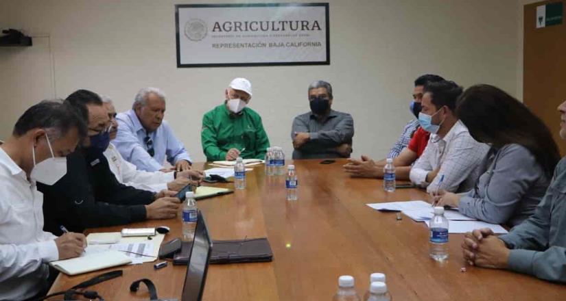 Campañas para controlar y erradicar plagas, deben realizarse en coordinación con productores: Secretaría del Campo de BC