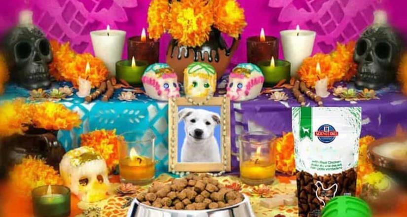 27 de octubre: Dia de muertos para mascotas