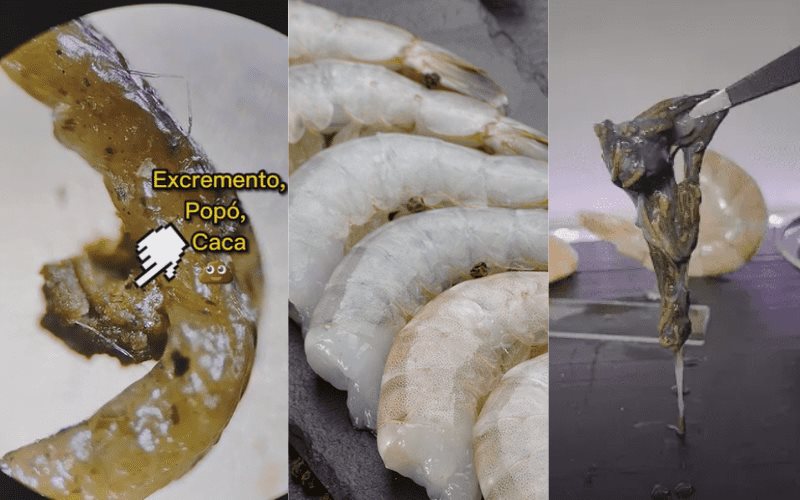 Investigan la tripa del camarón con un microscopio y descubren que no es recomendable comerla