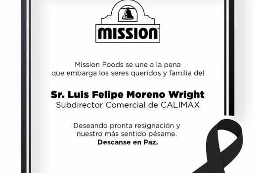 Sr. Luis Felipe Moreno Wright