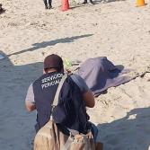 Aplasta automóvil a niño en una playa en Tamaulipas mientras estaba enterrado en la arena