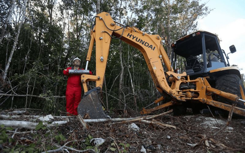 Activistas de Greenpeace interfieren en obras de Tren Maya