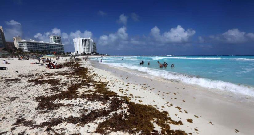 Llena sargazo playas de Cancún previo a Semana Santa