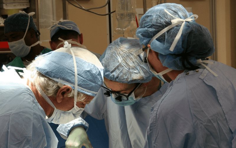 Xenotrasplantes: Una alternativa innovadora para los pacientes en espera de un trasplante de órgano