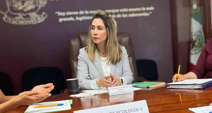 Atacan a regidora Marcela Valdez; denunciará casos de corrupción