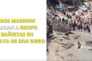 Lobos marinos atacan a grupo de bañistas en playa de San Diego