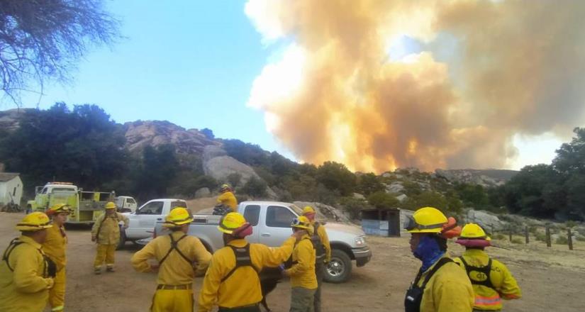 Exhorta Secretaría del Campo a tomar precauciones ante presencia de incendios forestales