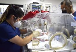 Personal de salud del IMSS en Baja California realiza con éxito siete trasplantes de riñón durante 2022
