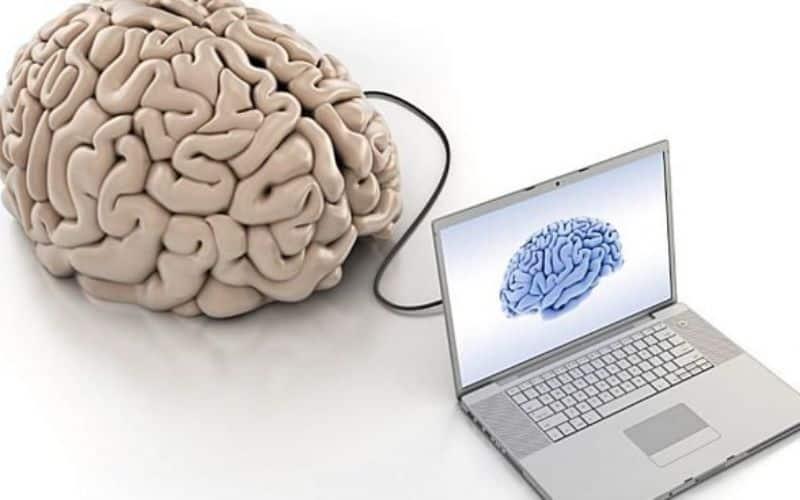 El cerebro humano: ¿Es semejante a una computadora?