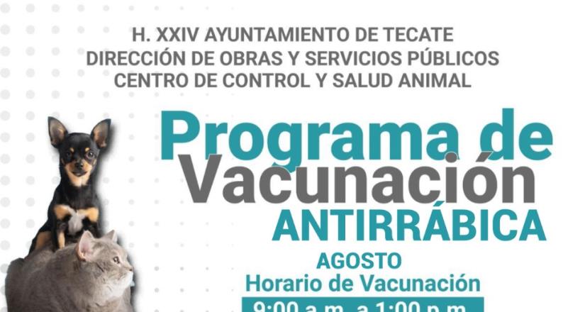 Gobierno de Tecate anuncia calendario de vacunación antirrábica agosto 2022