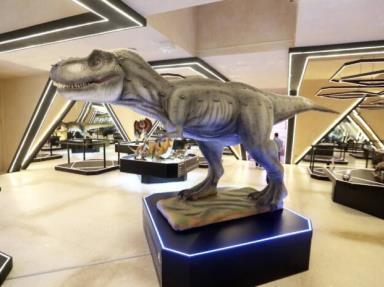 El Museo del Meteorito de Progreso abrirá sus puertas en Mérida, México