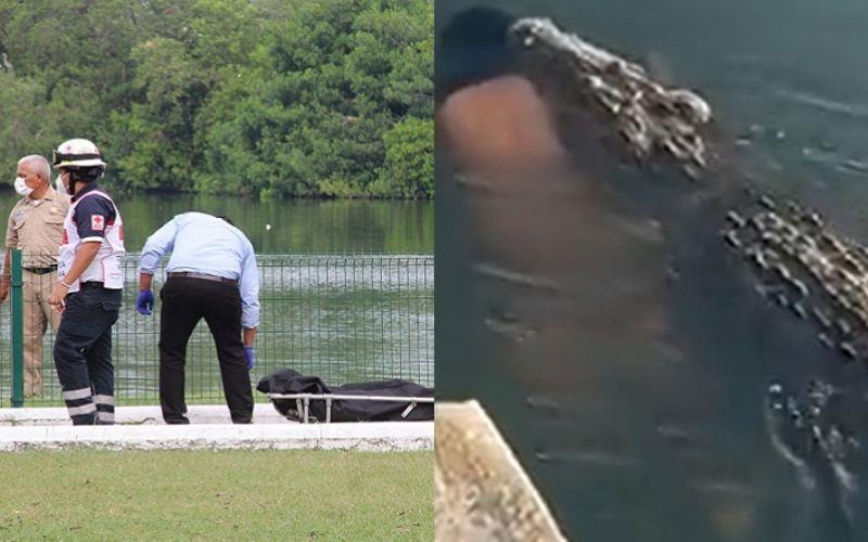 Cocodrilo de 3.5 metros mata a un hombre en Tampico y arrastra el cuerpo al drenaje