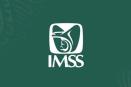 Ofrece IMSS información sobre afecciones post COVID-19, a través de plataforma CLIMSS