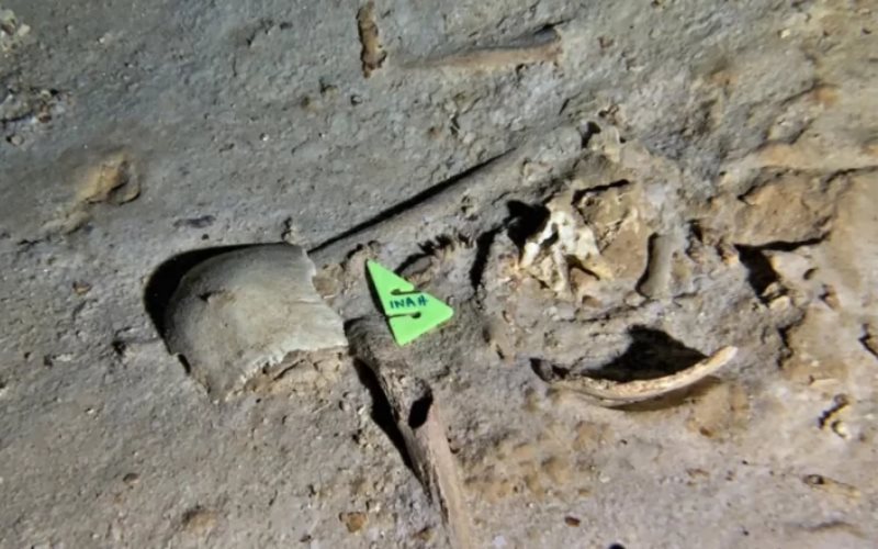Arqueólogo halla fósil de 8 mil años en Tren Maya; INAH lo desmiente