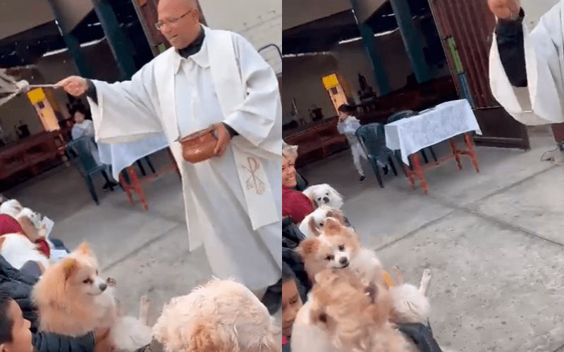 Sacerdote da bendición a perros y uno termina en exorcismo