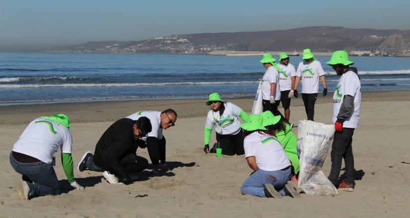 Participan ciudadanos en campaña "Onda Verde" para limpiar arena de Playa Conalep