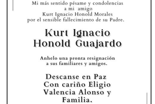 Kurt Ignacio Honold Guajardo