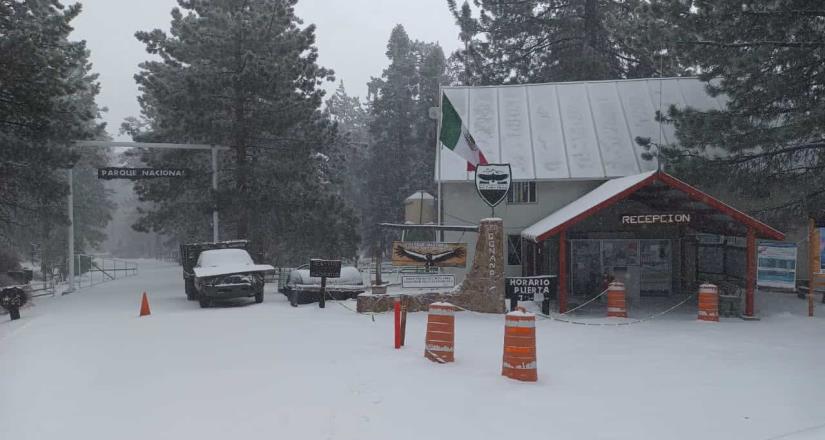 Por nevadas y bajas temperaturas cierran Parque Nacional Constitución 1857