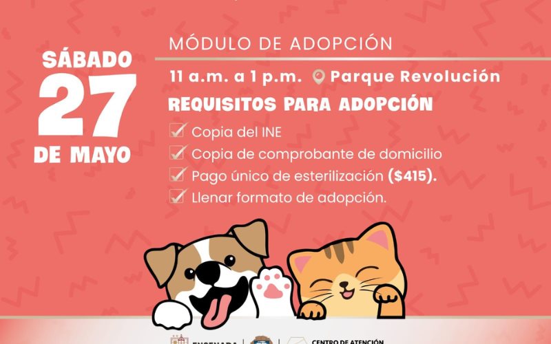 Tendrá CACYFE módulo de adopción de mascotas en Bazar de Bienestar Animal