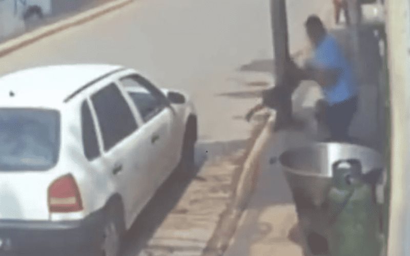 Hombre asalta una carnicería y luego arroja a un perro vivo a un cazo de carnitas