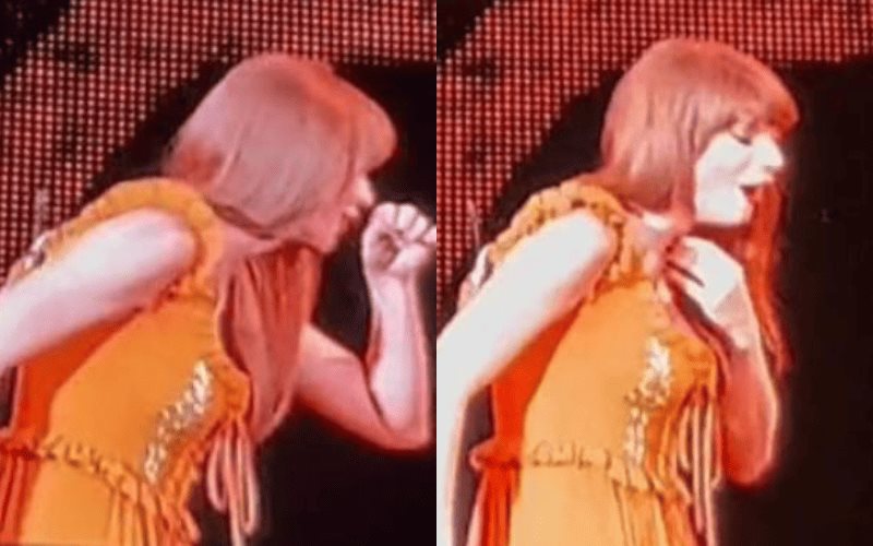 ¡En pleno concierto! Taylor Swift se come un insecto por accidente