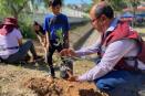 A través de Sembrando Vida Ayuntamiento continúa forestando Tijuana