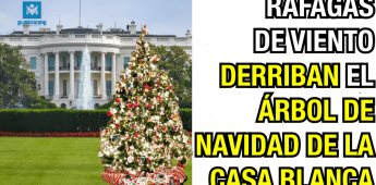 Ráfagas de viento derriban el árbol de navidad de la Casa Blanca.