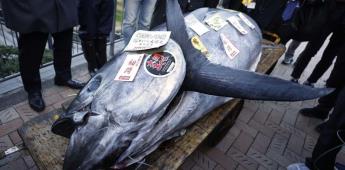 Se vendió un atún en una subasta por más de 700,000 dólares en Tokio