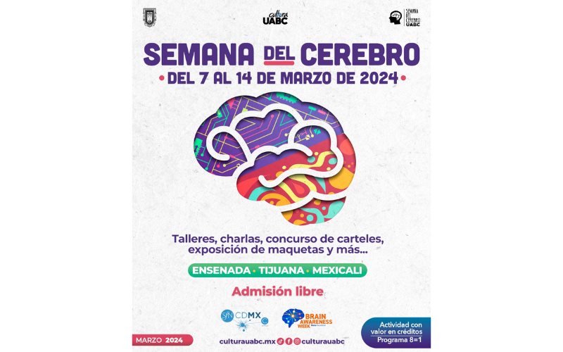 Facultades de la UABC invitan a celebrar la Semana del Cerebro