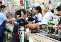 Ocupa Baja California primer lugar nacional en calidad de empleo pese a la pandemia por covid-19