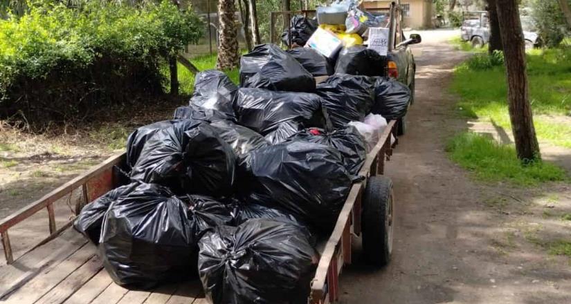 7 toneladas de basura son recolectadas semanalmente en el Parque Morelos