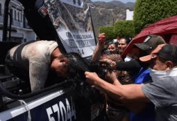 Rescatan a perrito de la presunta asesina de la niña Camila