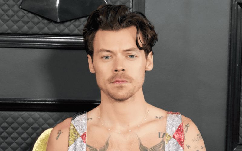 Harry Styles quiere convertirse en un boxeador de élite