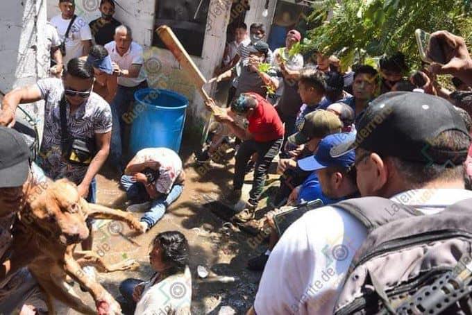 Rescatan a perrito de la presunta asesina de la niña Camila