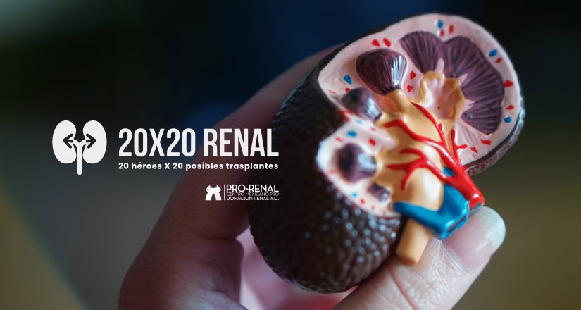 Busca Pro-Renal cambiar la vida de 20 pacientes que requieren un trasplante de riñón con su campaña "20X20 RENAL: 20 héroes, 20 posibles trasplantes"